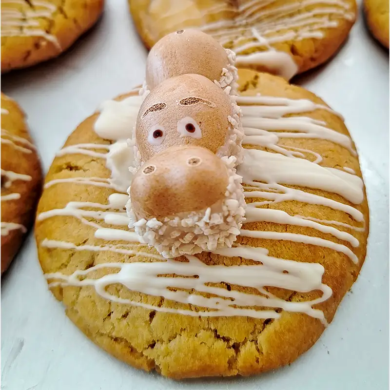 Cookie & Co.